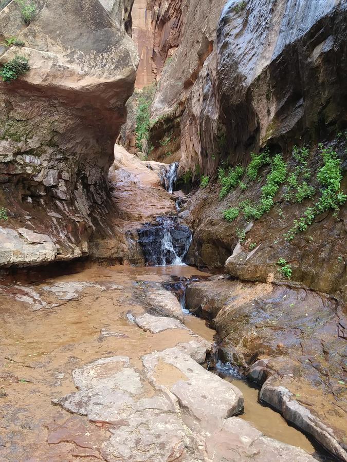 Zion'S Cozy Cabin'S Hildale المظهر الخارجي الصورة